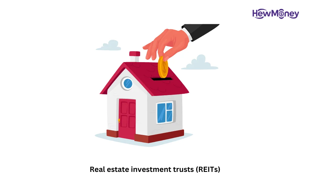 Real estate investment trusts (REITs)
