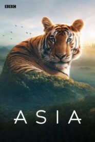 Asia