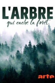 Of Trees and Forests: The Invisible World